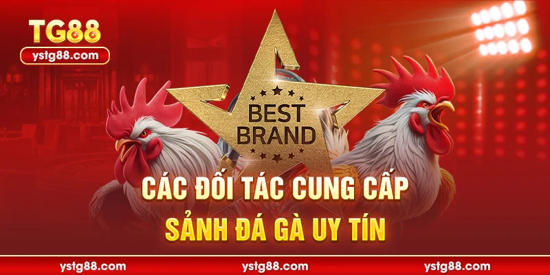 Các đối tác cung cấp sảnh Đá gà uy tín
