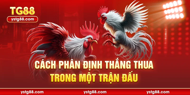 cách phân định thắng thua trong 1 trận đấu